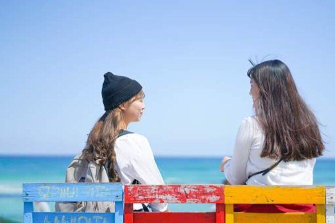 Jeju Island Taxi Join Tour - Overview of the Tour