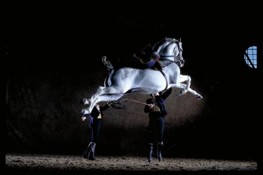 jerez-de-la-frontera-andalusian-horse-dance-and-museums-event-overview