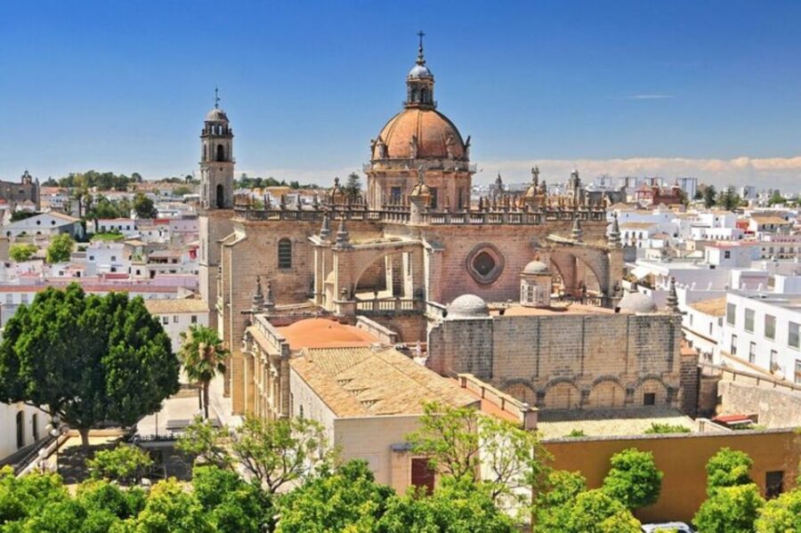 Jerez: Local Tapas & Taverns - Highlights of the Experience