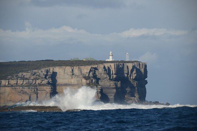 jervis-bay-passage-tour-tour-overview