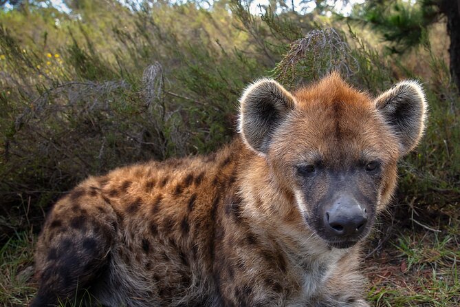 Jukani Wildlife Sanctuary Admission With Guided Tour - Tour Details and Inclusions