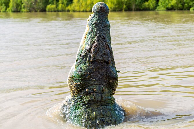 jumping-crocodile-experience-location-and-overview