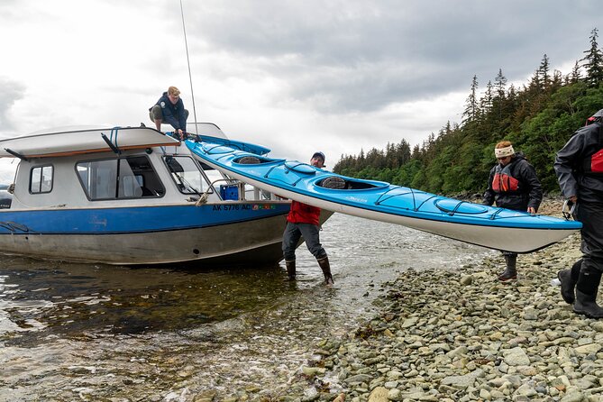 Juneau Shore Excursion: Paddle With Whales! Kayak Adventure