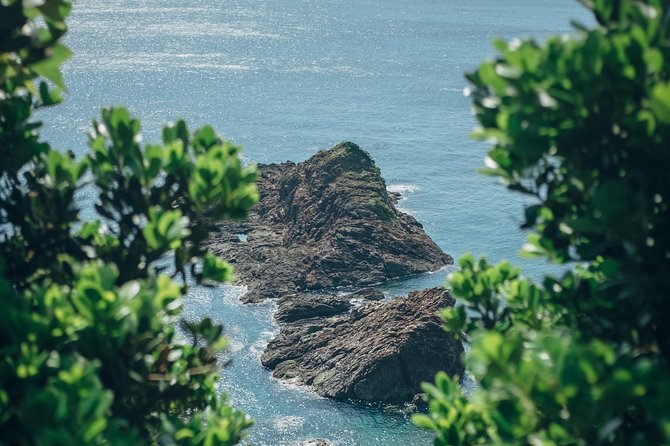 Kagoshima Custom Half Day Tour - Tour Details