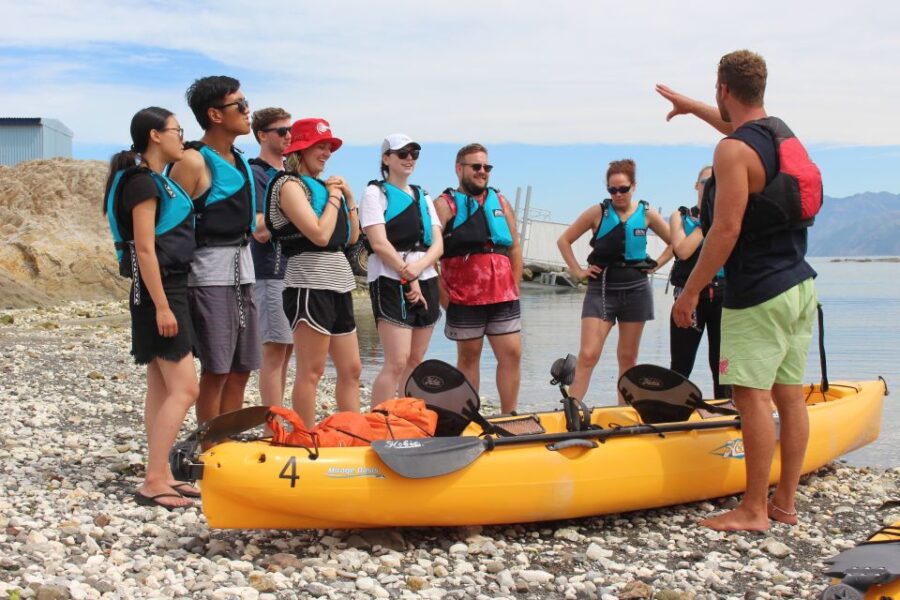 kaikoura-seal-watching-pedal-kayak-tour-tour-overview-and-pricing