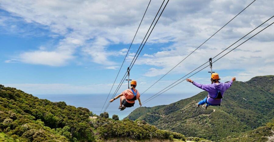 Kaikōura: Zipline and Native Forest Adventure Trip