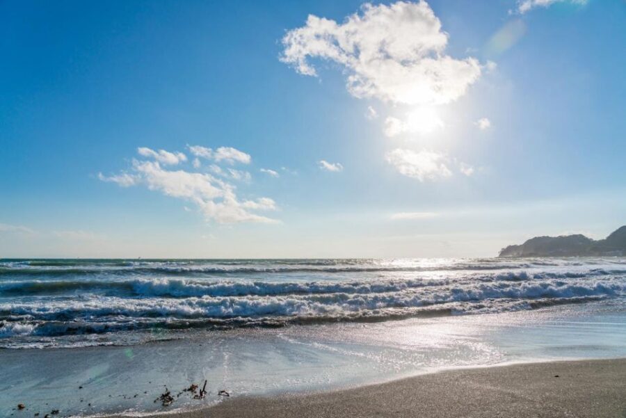kamakura-ninshos-trail-game-with-online-course-discover-the-world-of-ninsho