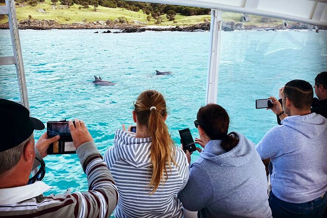 Kangaroo Island 75-Minute Coastal Safari - Tour Overview