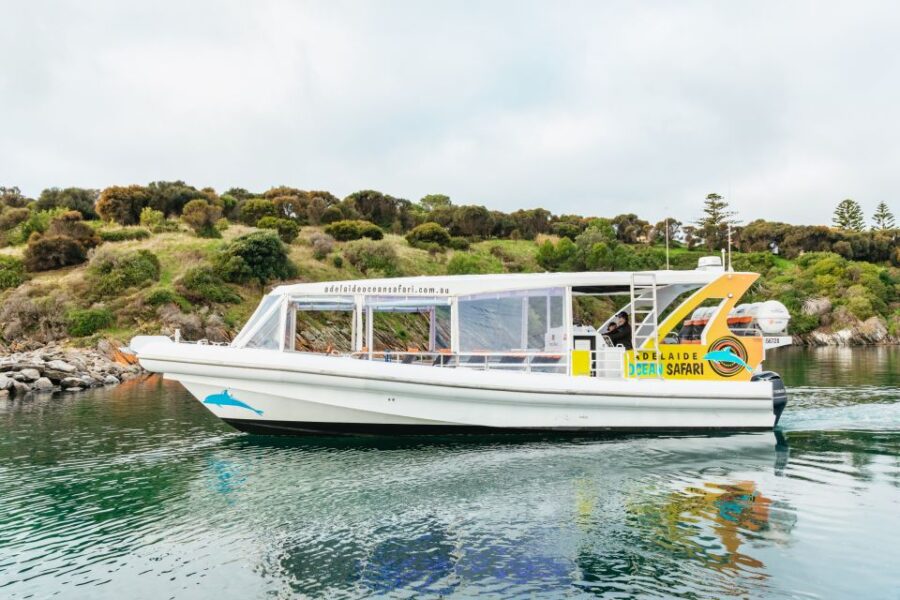 Kangaroo Island 75-Minute Coastal Safari