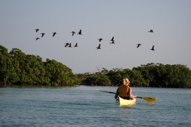 Kayak Eco Tour