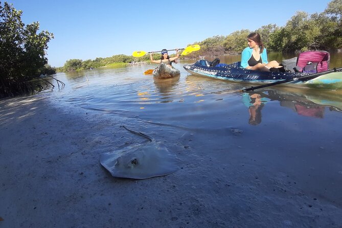 Kayak Experience in the Mangroves of Holbox Island - Overview and Experience