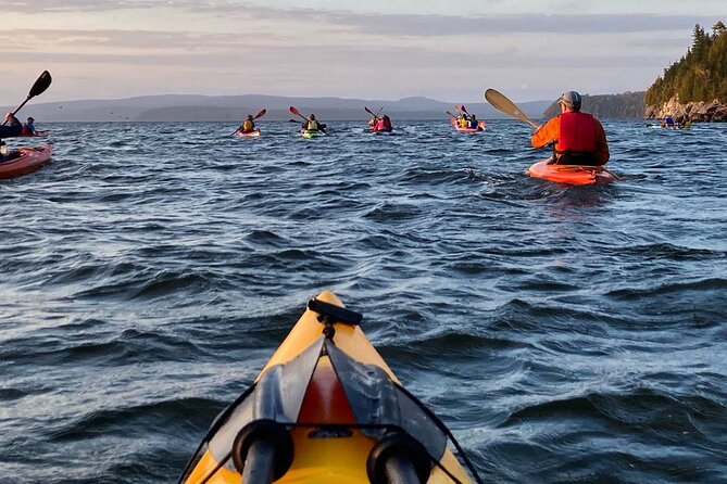 kayaking-with-first-nations-storytellers-overview-of-the-experience