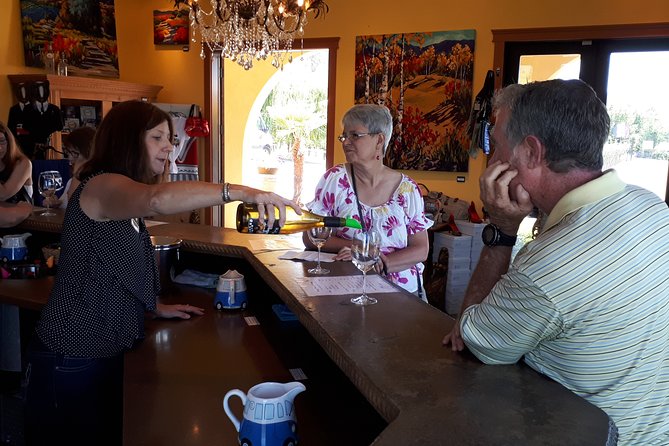 kelowna-or-west-kelowna-afternoon-sightseeing-wine-tour-overview-of-the-wine-tour