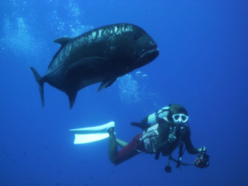 Kerama Islands National Park 2 Boat Fan Diving (With Rental)