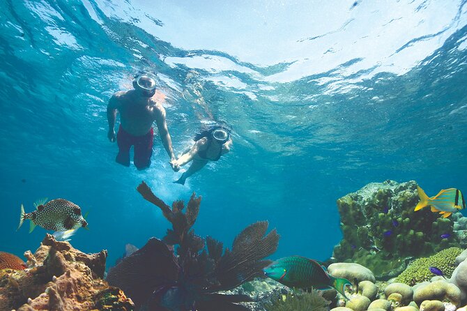 key-west-double-dip-two-reef-snorkeling-adventure-with-drinks-snorkeling-gear-and-instruction
