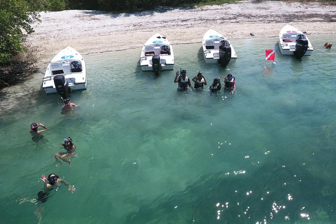 Key West Safari Eco Sandbar Tour Adventure With Snorkeling - Inclusions