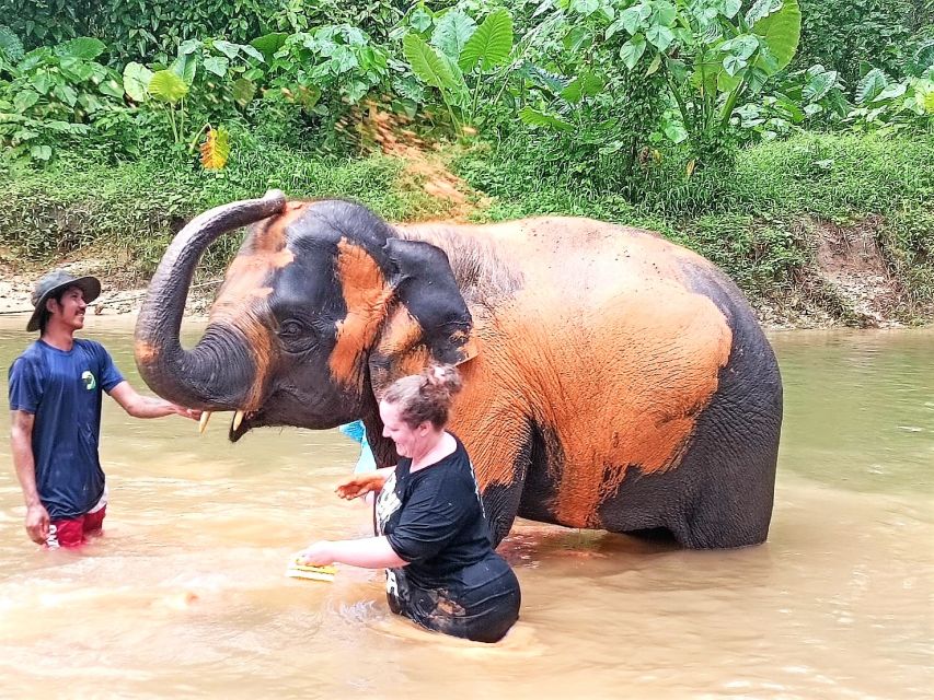 Khaolak: Elephant Sanctuary With Turtle Conservation Center