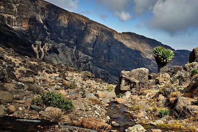 kilimanjaro-climb-lemosho-route-8-day-package-overview