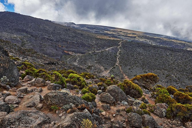 kilimanjaro-climb-rongai-route-7-day-overview-of-the-rongai-route