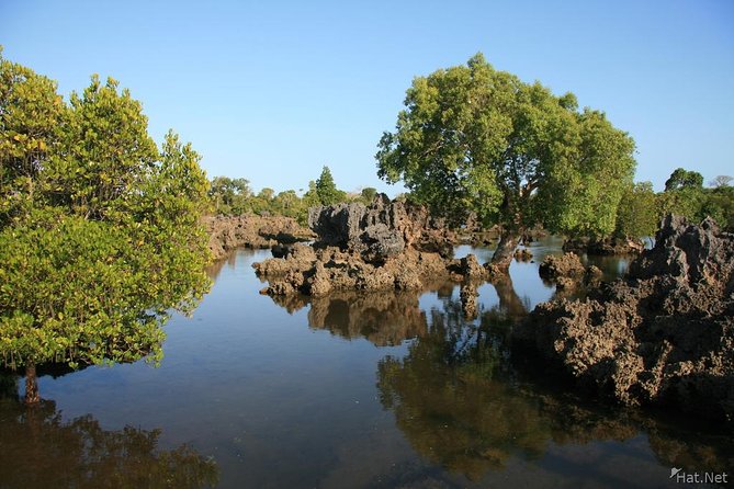 Kisite Marine Park Private Boat Tour With Scuba Diving and Lunch