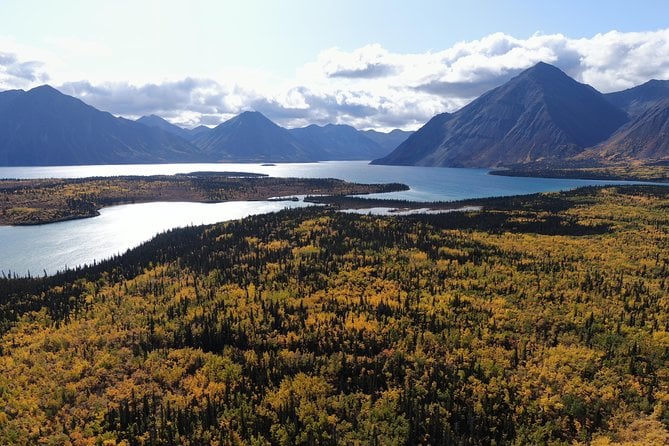 kluane-national-park-day-trip-from-whitehorse-tour-overview