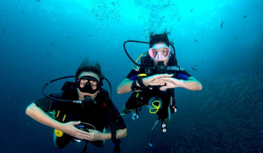 Ko Tao: Open Water Scuba Diving 4-Day Course
