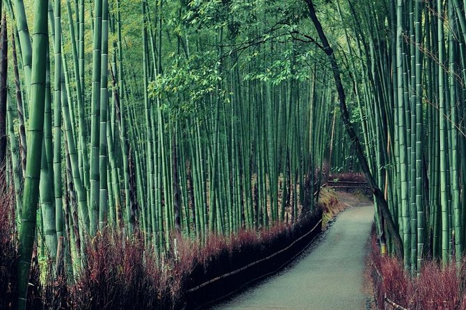 4 Best Shore Excursions In Kobe