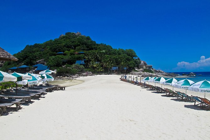 koh-tao-and-koh-nang-yuan-snorkel-tour-speedboat-from-koh-samui-trip-overview