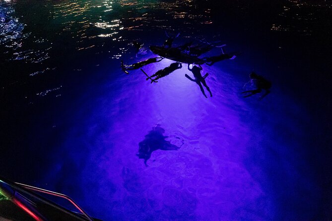 kona-night-manta-snorkel-tour-overview-of-the-experience