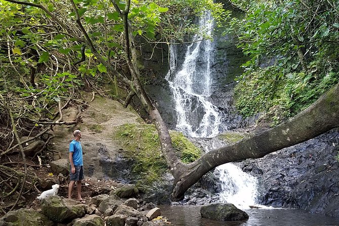 Koolau Waterfall Hike - Overview of the Hike