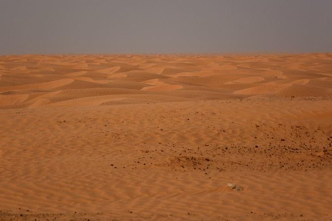 Ksar Ghilane 1 Day: the Hot Spring and the Homestay - Exploring the Ksar Ghilane Desert Gate