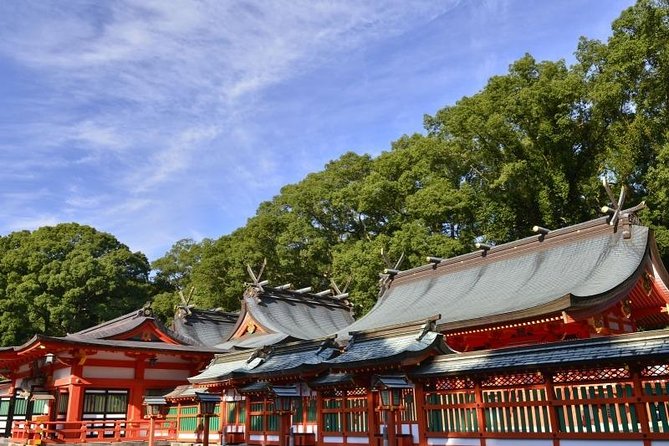 kumano-kodo-pilgrimage-full-day-private-trip-with-government-licensed-guide-tour-overview