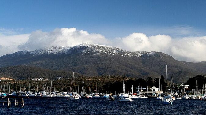 Kunanyi/Mt Wellington Explorer Bus- Return Tour (2.5 Hours)
