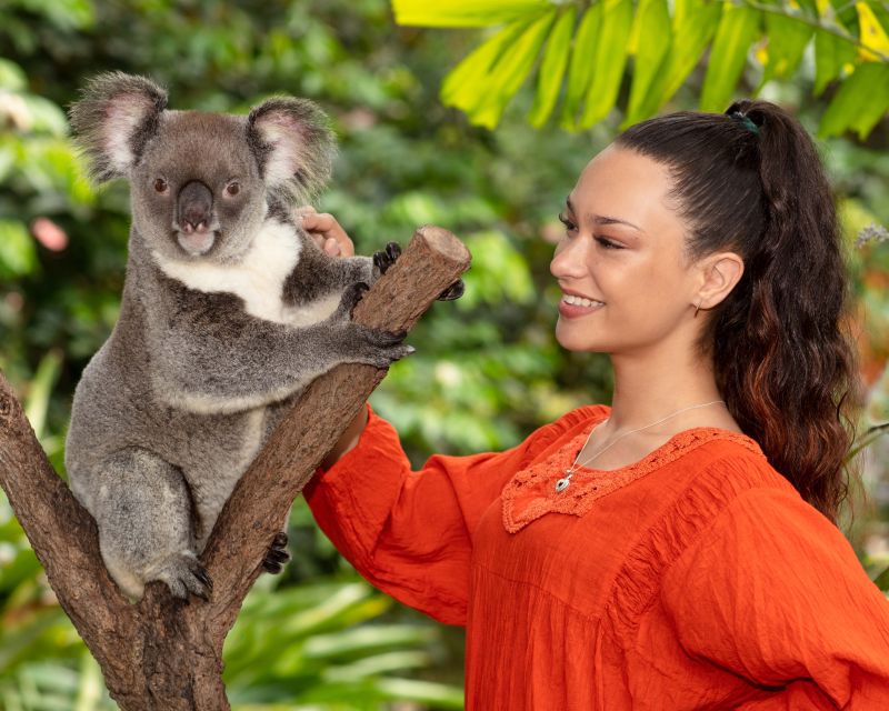 Kuranda: Koalas, Birds and Butterflies Experience - Activity Overview