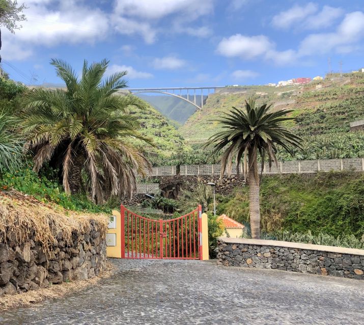 La Palma: North Island Bus Tour With Ron Aldea Distillery
