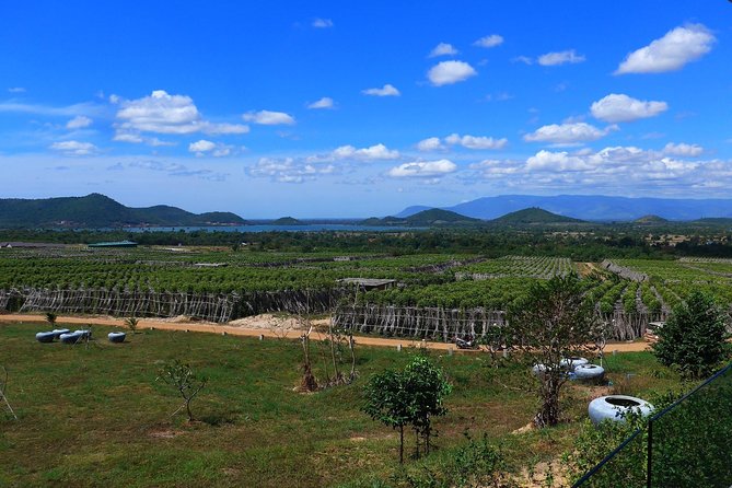 La Plantation Tour (Discovering Kampot Pepper) + Lunch - Kampot Pepper Preservation