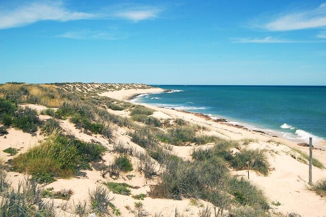lagoon-explorer-ningaloo-reef-full-day-kayaking-and-snorkeling-adventure-tour-overview