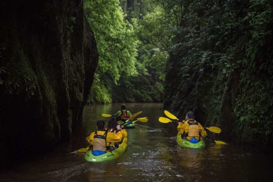3 Best Tours In Hamilton New Zealand
