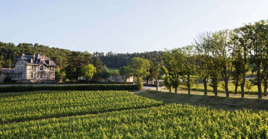 Languedoc: Tour and Tasting at Domaine De Baronarques