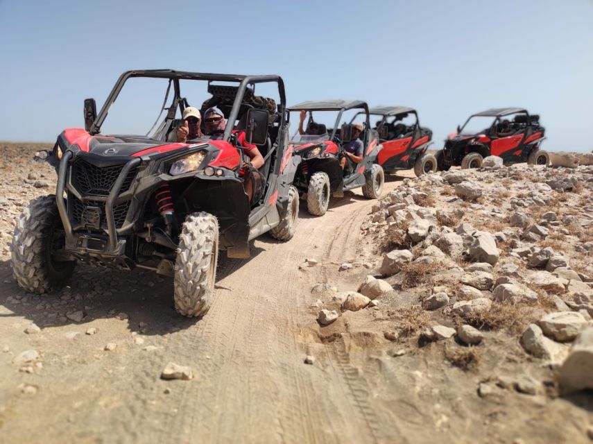 Lanzarote: Guided Can-Am Trail Buggy Tour - Tour Duration and Pricing