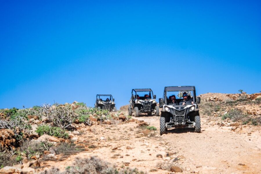 lanzarote-guided-off-road-volcano-buggy-tour-with-pickup-tour-overview