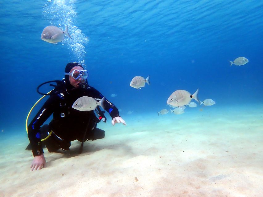 lanzarote-small-group-beginner-dive-course-costa-teguise-group-dive-experience