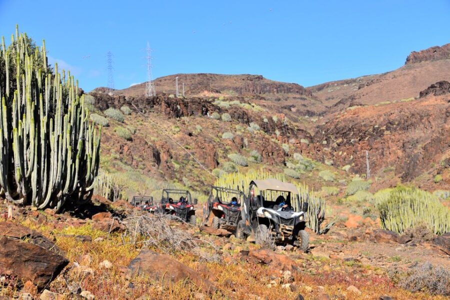Las Palmas: Gran Canaria Guided Buggy Tour - Rugged Landscapes of Gran Canaria