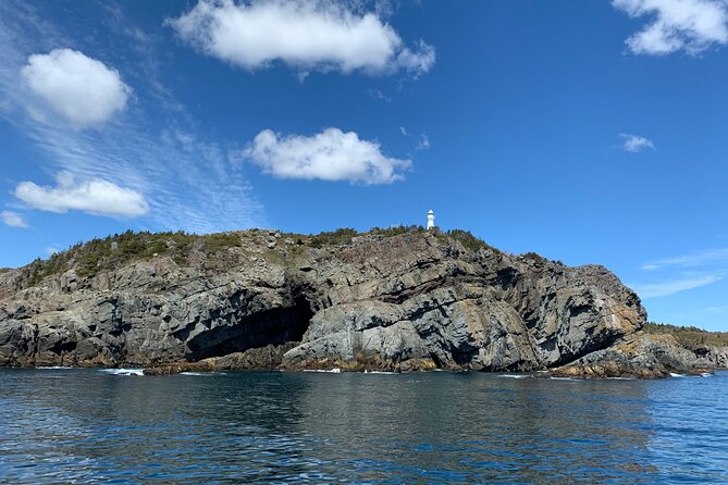 6 Best Cruises And Boat Tours In St Johns