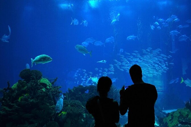 lisbon-oceanario-aquarium-entrance-ticket-overview-of-lisbon-oceanario