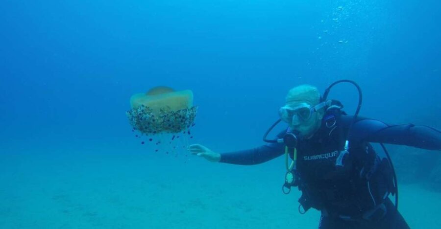 lloret-de-mar-scuba-diving-experience-no-license-required-experience-overview