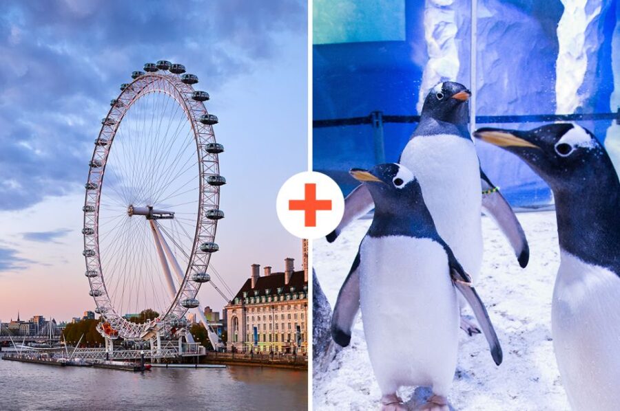 London: SEA LIFE & London Eye Combo Ticket - Ticket Details