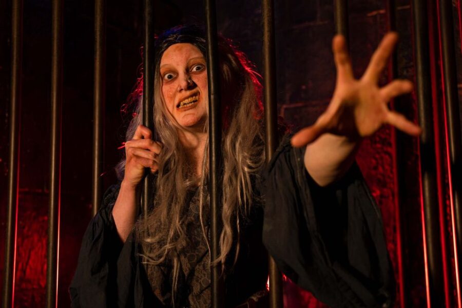 London: The London Dungeon and London Eye Combo Ticket - Product Overview