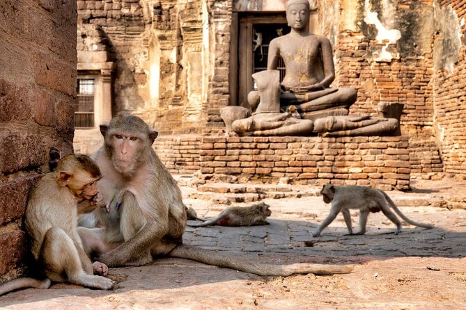 Lopburi Monkey Temple & Ayutthaya Old City Tour From Bangkok - Tour Overview
