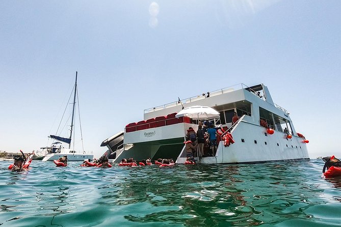 Los Cabos Reef Snorkeling Cruise With Lunch and Open Bar - Overview and Highlights
